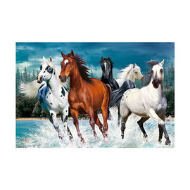 PET 40*60cm 3D Lenticular Pictures For Home Decoration And Gifts