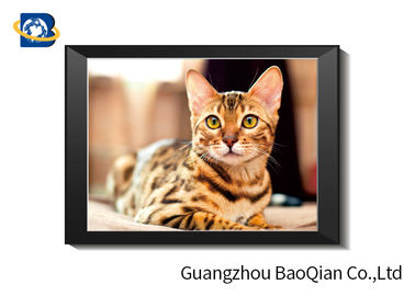 Cute Cat Lenticular Printing Picture With Frame 40 x 40 cm PET 0.65 mm