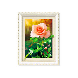Flowers And Plants 5D Images Lenticular Art Prints For Restaurant Decor